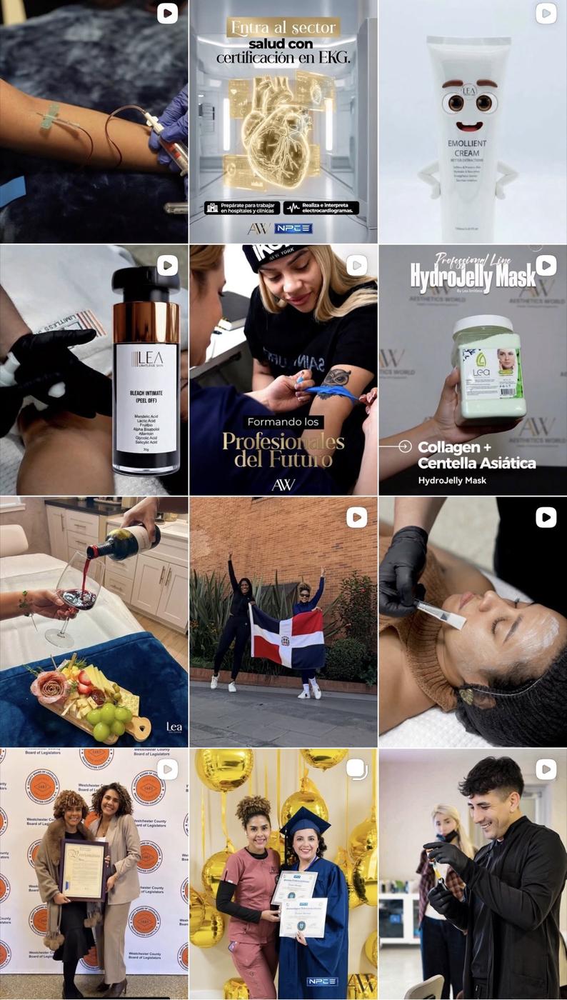 Feed de Instagram para una academia de estética